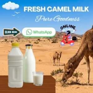 Buy Fresh camel milk in uae