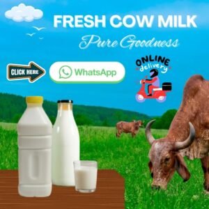 Buy Fresh cow milk in uae