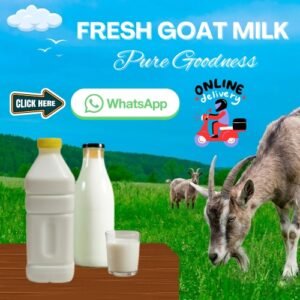 Buy fresh goat milk in uae