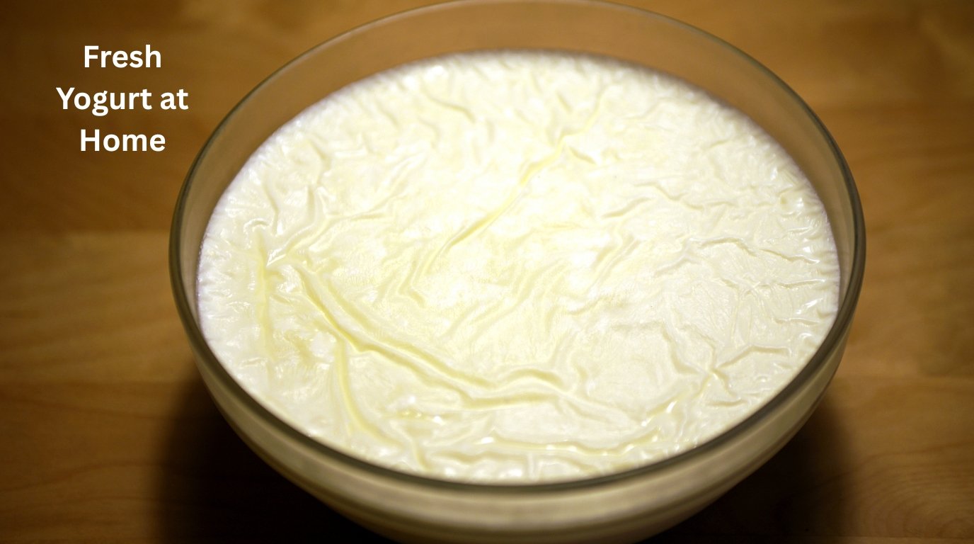 Fresh Yogurt at Home