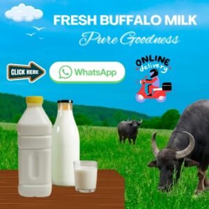 buy fresh buffalo milk in uae