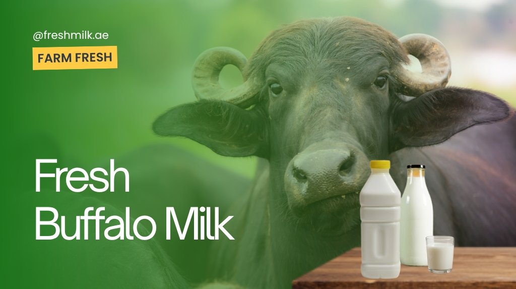Buffalo Milk in the UAE: A Complete Guide to Nutrition, Benefits and Where to Buy