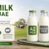 A2 Milk in UAE: Why Its Better Than Regular Milk