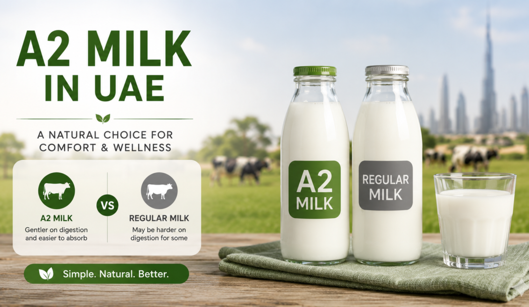 A2 Milk in UAE: Why Its Better Than Regular Milk