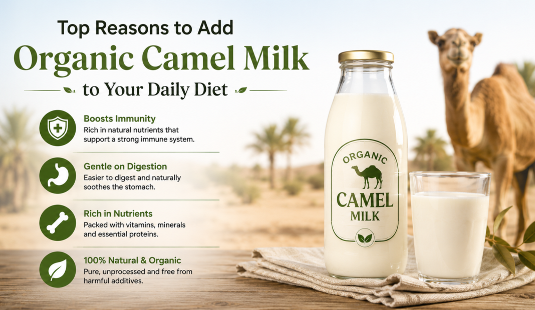 Top Reasons to Add Organic Camel Milk to Your Daily Diet