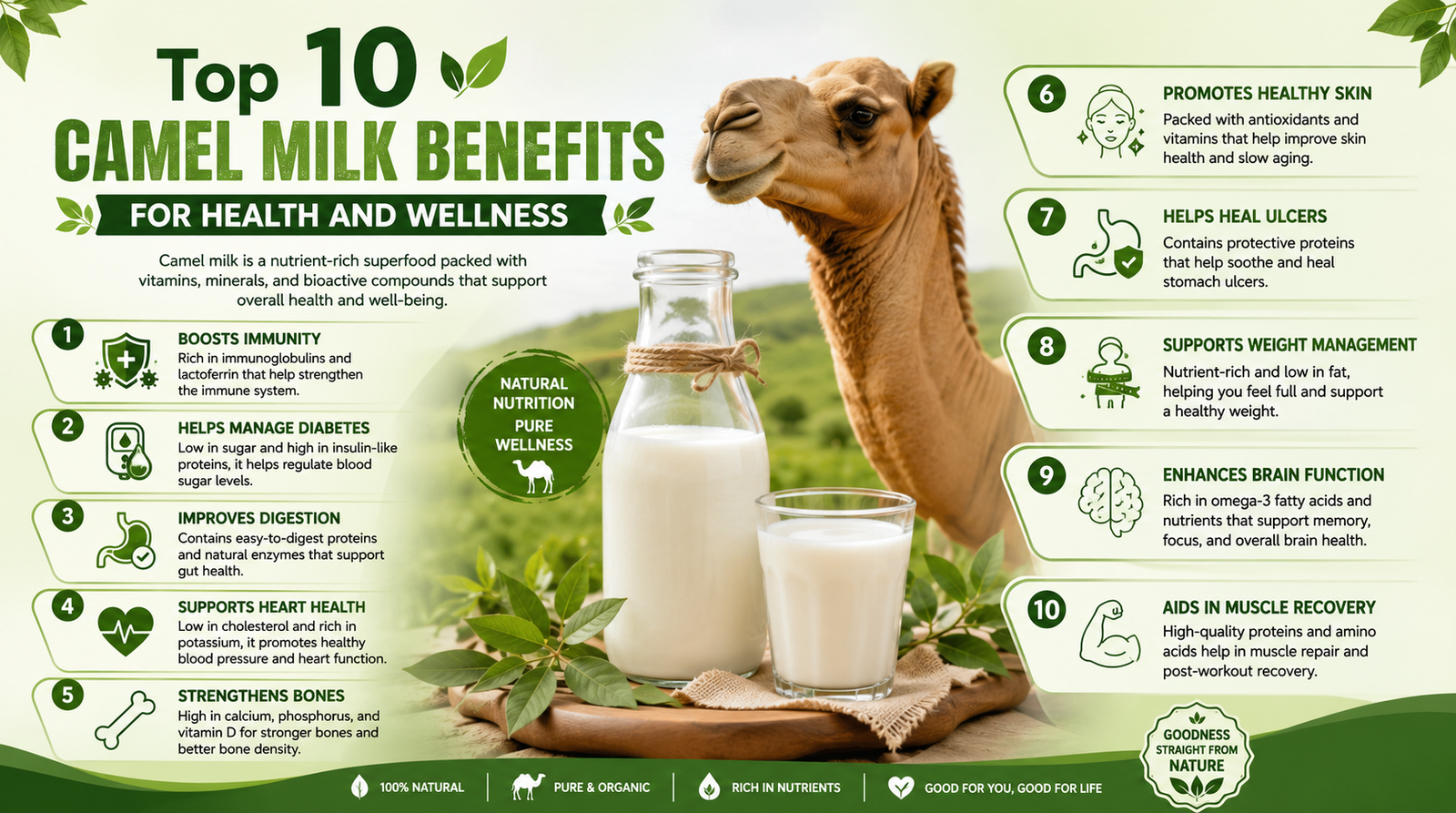 Top 10 Camel Milk Benefits for Health and Wellness